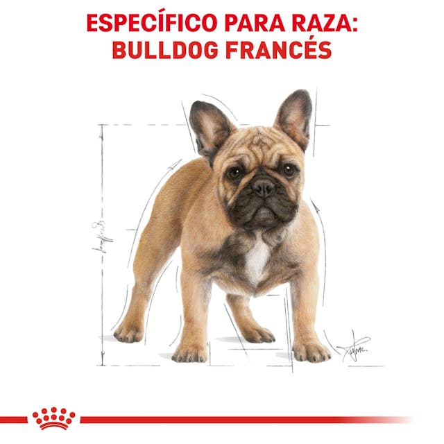 Royal Canin Bulldog Francés 7.2 Kg - Alimento para Perro Royal Canin Bulldog Francés 7.2 Kg - Alimento para Perro
